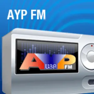 AYP FM 